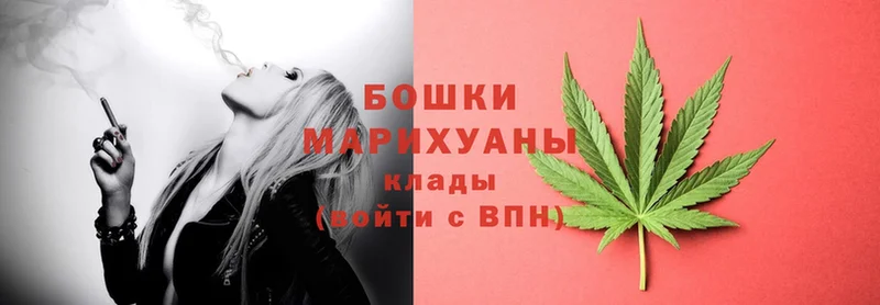 Конопля White Widow  купить наркотик  Губкин 